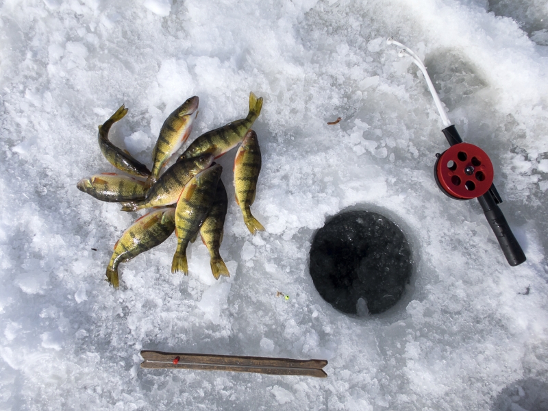 Ice Fishing A Michigan Winter Tradition RV