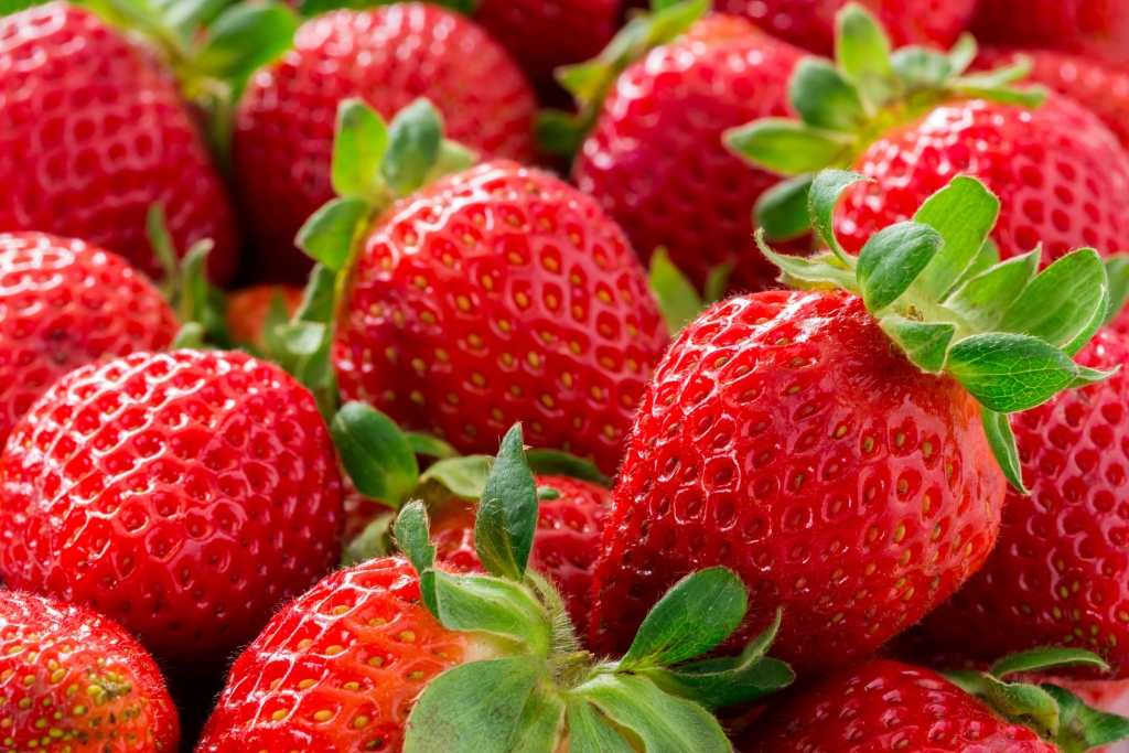 Strawberries in Michigan Farms, Festivals, UPick Stops, and Recipes