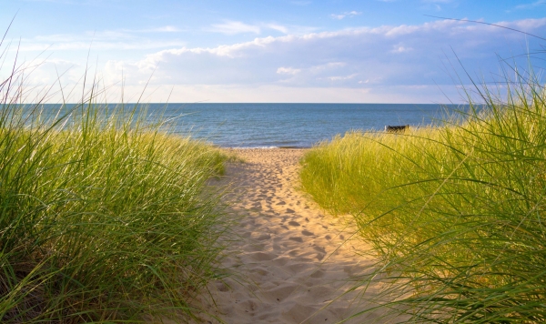 Spend A Day At A Michigan Beach Marvac 