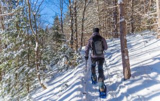 Snowshoeing